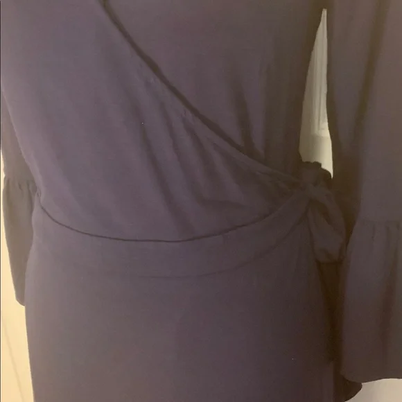 Lilly Pulitzer Deep Blue Long Sleeve Dress - Picture 6 of 10